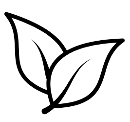 Black line drawing of a leaf on a white background